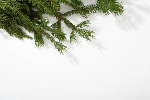 Witte Kerst Achtergrond Met Groene Takken Vakantie Concept Verkoop — Stockfoto
