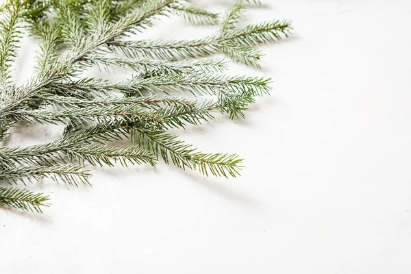 Weißer Feiertagshintergrund Mit Grünem Zweig Und Kopierraum — Stockfoto