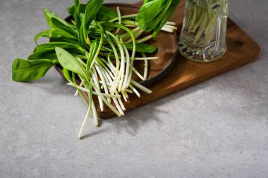 Spring organic food wild ramson leek on plate