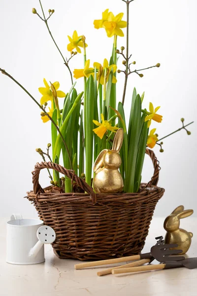Easter Holiday Concept Background Decor Bunny Flowers Pot — 图库照片