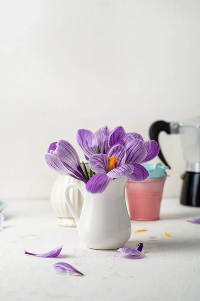 Close Spring Violet Crocus Saffron Pot Copy Space Holiday Background — Stock Photo, Image