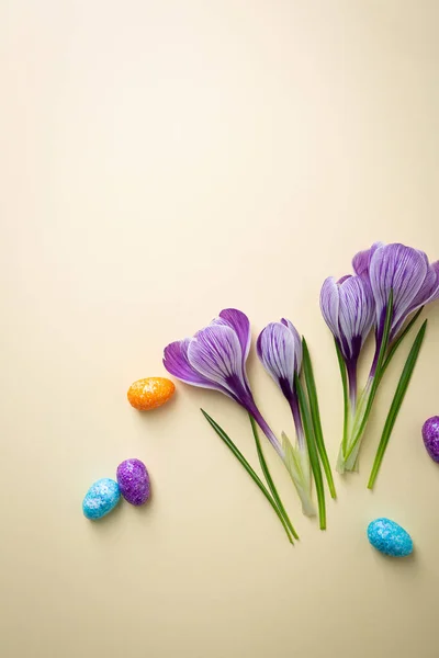 Spring Background Flowers Small Easter Eggs Top View — Stock Photo, Image