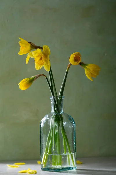 Жовті Нарциси Скляній Вазі — стокове фото