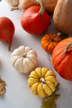 Balkabağı arka planının üst görünümü Sonbahar konsepti