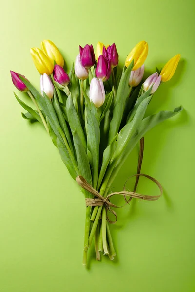 Frisse Tulpen Groene Achtergrond Lentebloemen Top — Stockfoto