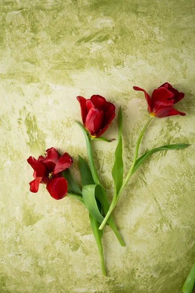 Widok Nad Głową Czerwone Tulipany Kwiaty Zielonym Tle Malowane — Zdjęcie stockowe