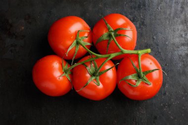 Koyu arkaplanda taze kırmızı domates dalıyla 