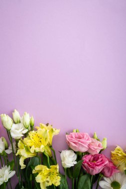 Işık yüzeyi üst görünümünde yaz çiçekleri