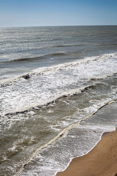 Deniz kıyısı, kumsal, doğa ve mavi gökyüzü.
