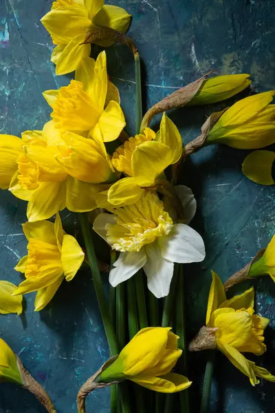 Концепція Весняного Свята Жовта Біла Квітка Нарциса Зеленій Поверхні Ліцензійні Стокові Фото