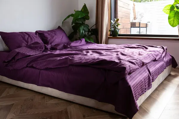 早上房间里床上乱七八糟的东西 紫丁香床单和毛毯 免版税图库照片