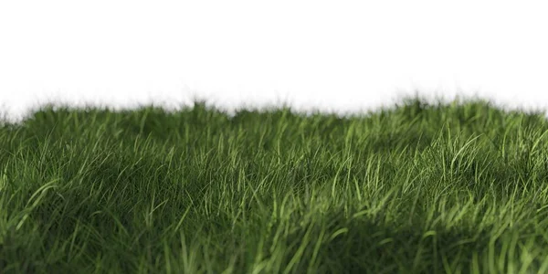 白い背景 生態系 東または園芸テンプレート要素 選択的フォーカス 3Dイラストに隔離された緑の芝生の境界またはエッジバナー — ストック写真