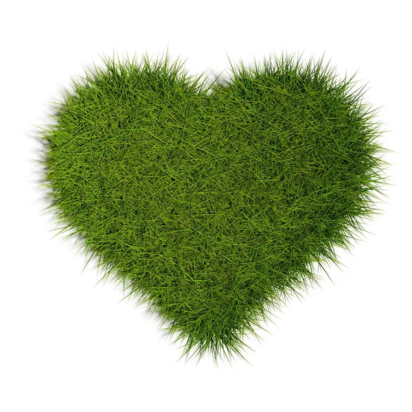 Серце Зеленої Трави Ізольоване Білому Тлі Концепція Природи Любові Або — стокове фото