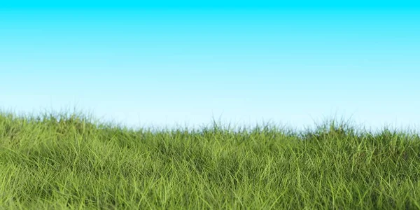 蓝天背景 春天或园艺模板元素的绿草边界或边缘宽横幅 3D插图 — 图库照片