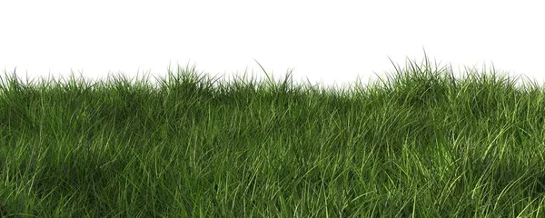 Wide Frame Green Grass Border Edge Banner Isolated White Background — Stock Photo, Image
