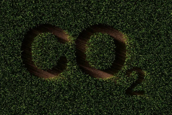 Co2 Dwutlenek Węgla Symbol Wycięty Tła Trawy Ekologia Środowisko Lub — Zdjęcie stockowe