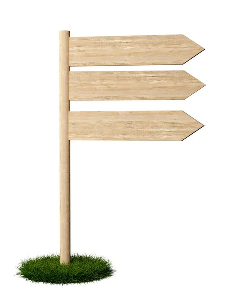 绿色草地上指向同一方向的三个空的 空白的木制箭头标志 白色背景上隔离的木板方向标志模板 3D插图 图库图片