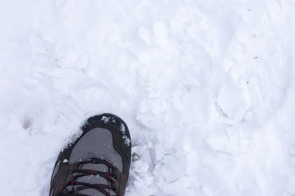 雪地上有远足靴的脚 — 图库照片