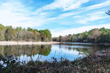 Ormanın ortasında mavi gökyüzü olan bir göl.
