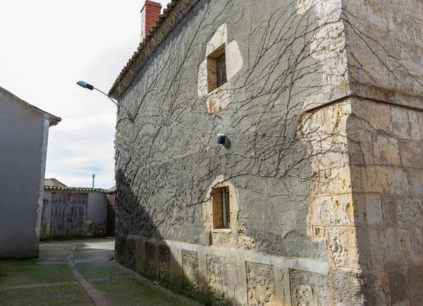Antiguo Edificio Piedra Con Vid Pared — Foto de Stock