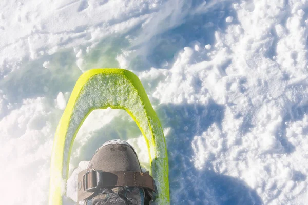 a detail of snowshoe on mountaineer's foot