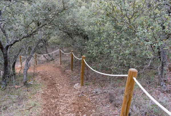 Uma Estrada Terra Floresta Com Estacas Madeira Corrimão Corda — Fotografia de Stock