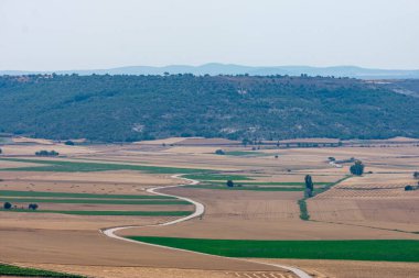 Bir yol ekili tarlalardan geçer.