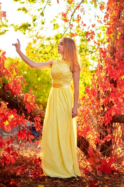 Κορίτσι Κίτρινο Φόρεμα Φθινοπωρινό Φύλλωμα — Φωτογραφία Αρχείου