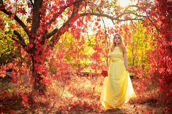 Dziewczyna Żółtej Sukience Jesienne Liście — Zdjęcie stockowe