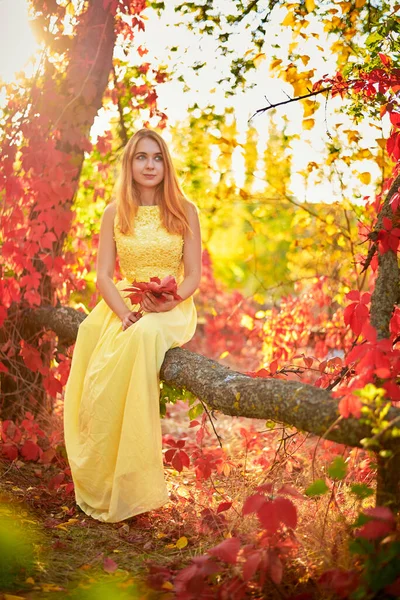 Sarı Elbiseli Kız Sonbahar Yeşillikleri Içinde — Stok fotoğraf