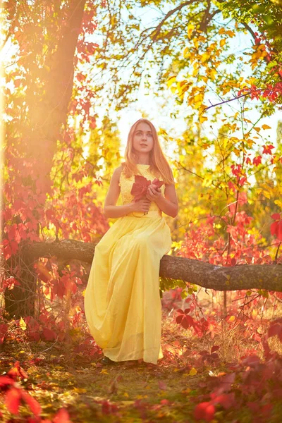 Girl Yellow Dress Autumn Foliage — Stock Photo, Image