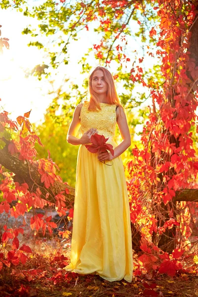 Menina Amarelo Vestido Folhagem Outono — Fotografia de Stock