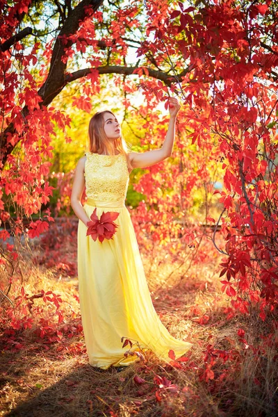 Sarı Elbiseli Kız Sonbahar Yeşillikleri Içinde — Stok fotoğraf