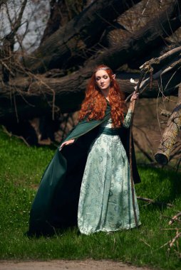 Kostümcü kız ormanda elf.