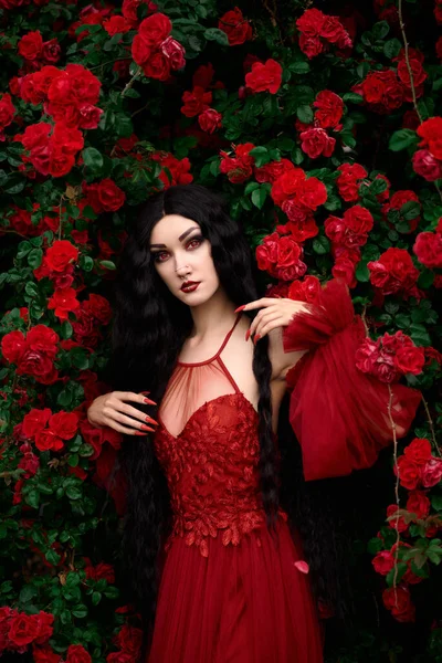 Stock image Vampire girl on a background of red roses