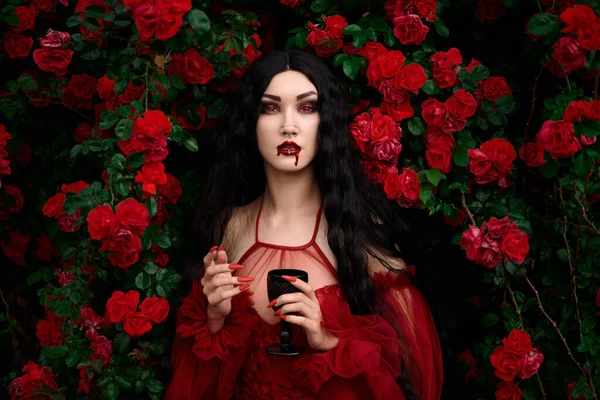Βρικόλακας Κορίτσι Φόντο Κόκκινων Τριαντάφυλλων — Φωτογραφία Αρχείου