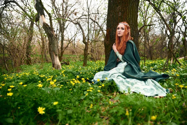 Kostümcü Kız Ormanda Elf — Stok fotoğraf
