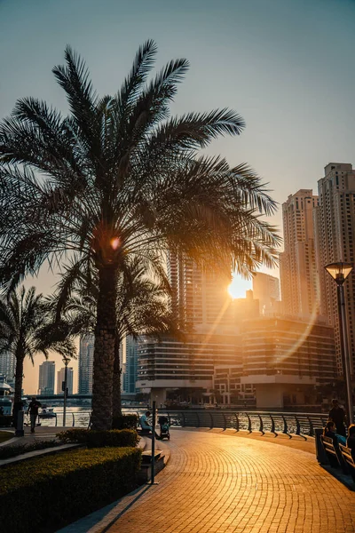 Центр Дубая Перекресток Шейха Заида Фасида Перед Закатом Цветущим Небом — стоковое фото