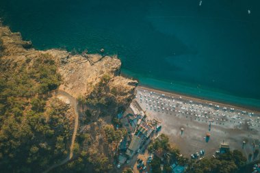 Türkiye 'de deniz kenarındaki bir kayanın üzerinde çam ağacı olan yaz manzarası