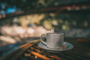 Türkiye 'de deniz kenarındaki bir kayanın üzerinde çam ağacı olan yaz manzarası