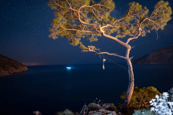 土耳其海滨岩石上有高山松树的夏季风景 — 图库照片