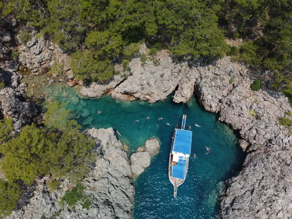 Летний Пейзаж Горной Сосной Скале Моря Турции — стоковое фото