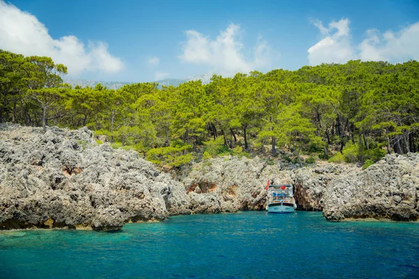 여름철에는 터키의 바닷가에 소나무 가사는 — 스톡 사진