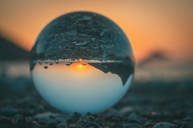 Türkiye 'de deniz kenarındaki bir kayanın üzerinde çam ağacı olan yaz manzarası