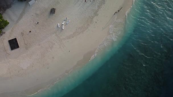 Reisen Sie Ein Tropisches Paradies Paradiesischer Strand Mit Palmen Und — Stockvideo