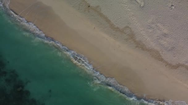 Reisen Sie Ein Tropisches Paradies Paradiesischer Strand Mit Palmen Und — Stockvideo