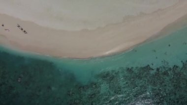 Tropikal bir cennete git. Palmiye ağaçları, berrak mavi deniz ve insansız beyaz kum olan cennet kumsalı. Video 4K