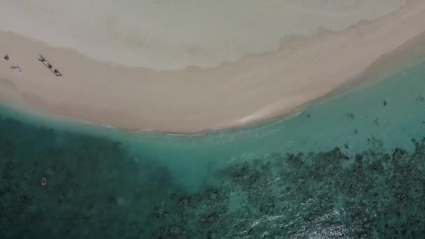 Viaje Para Paraíso Tropical Praia Paraíso Com Palmeiras Mar Azul — Vídeo de Stock