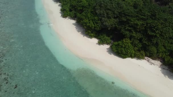 Travel Tropical Paradise Paradise Beach Palm Trees Clear Blue Sea — Stock Video