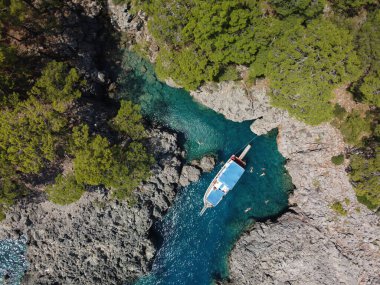 Türkiye 'de deniz kenarındaki bir kayanın üzerinde çam ağacı olan yaz manzarası
